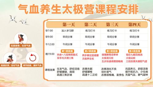 云養生新風尚 東望文化打造道門八段錦與太極八段錦精品課程及公益性文化活動